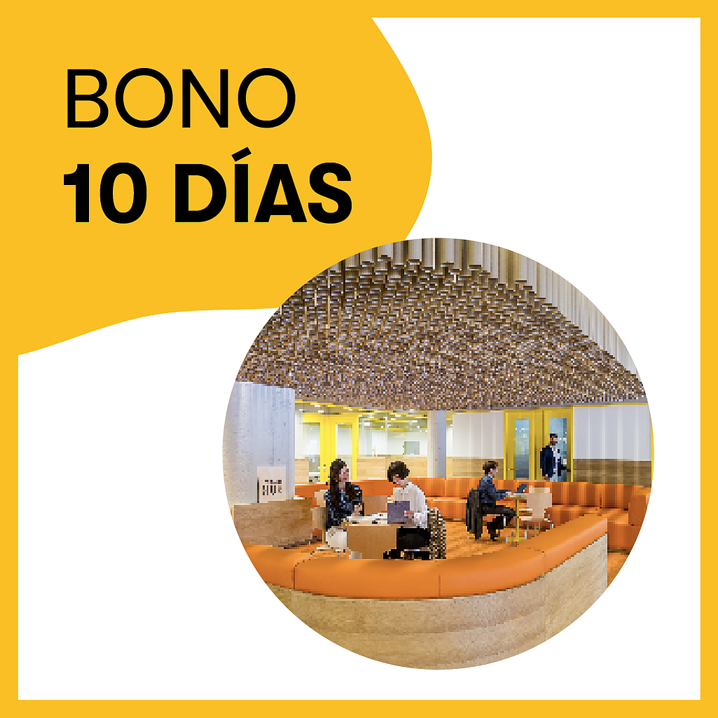 Bono 10 días Picasso
