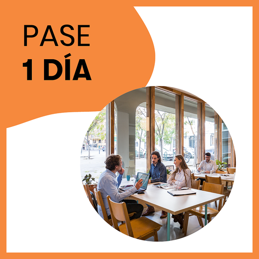 Pase Diario Barceló